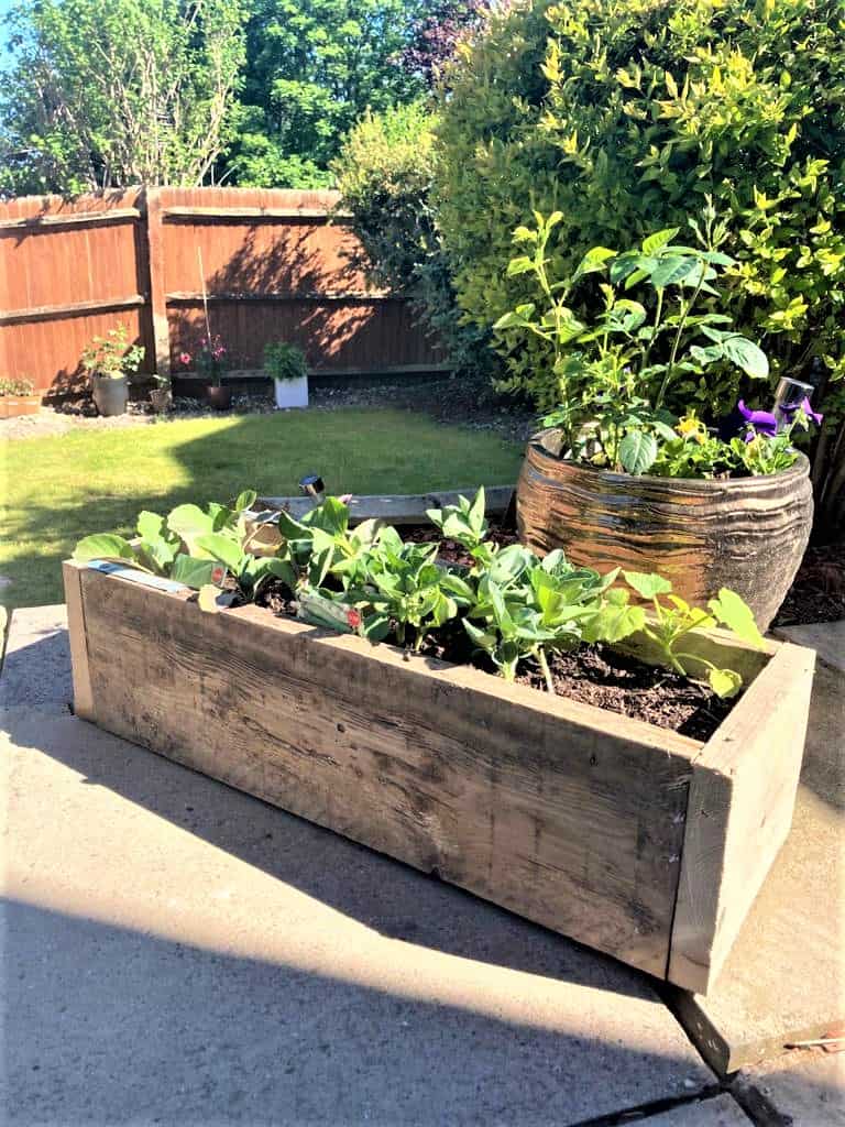 Reclaimed-wood planter filled with green plants in a garden