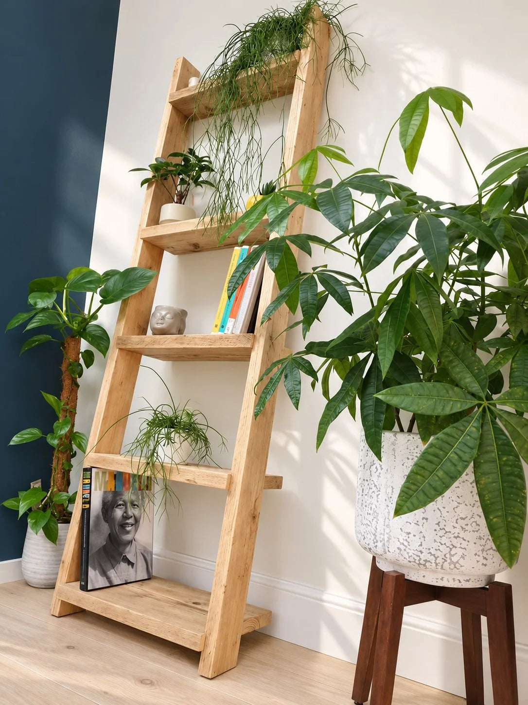Wooden Ladder Shelves | 5 Tier Ladder Shelf | THE PISA