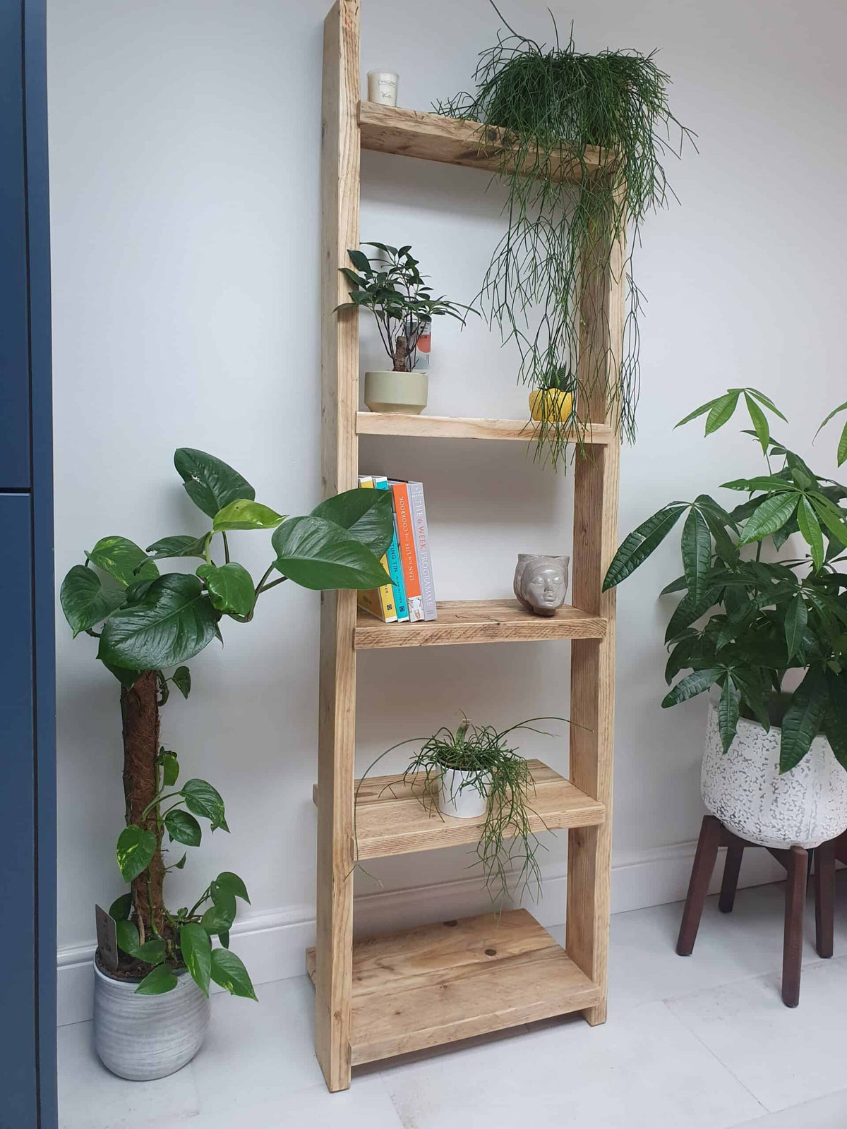 Wooden Ladder Shelves | 5 Tier Ladder Shelf | THE PISA