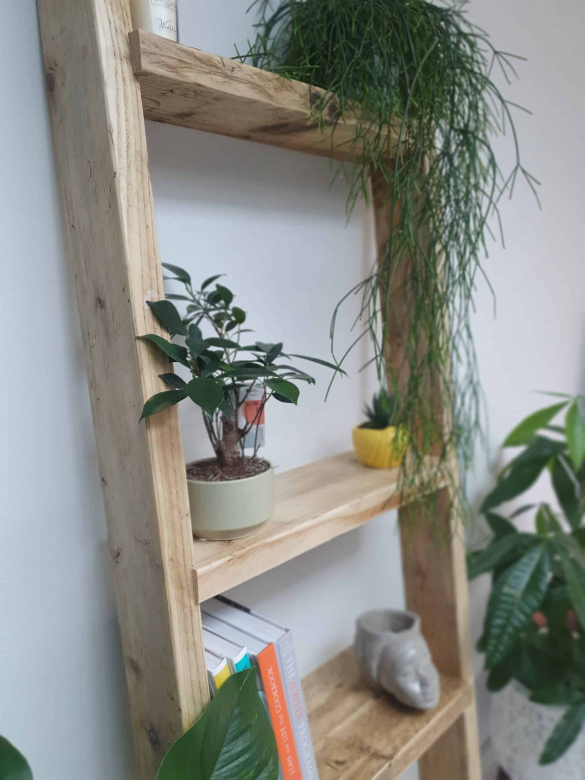 Wooden Ladder Shelves | 5 Tier Ladder Shelf | THE PISA