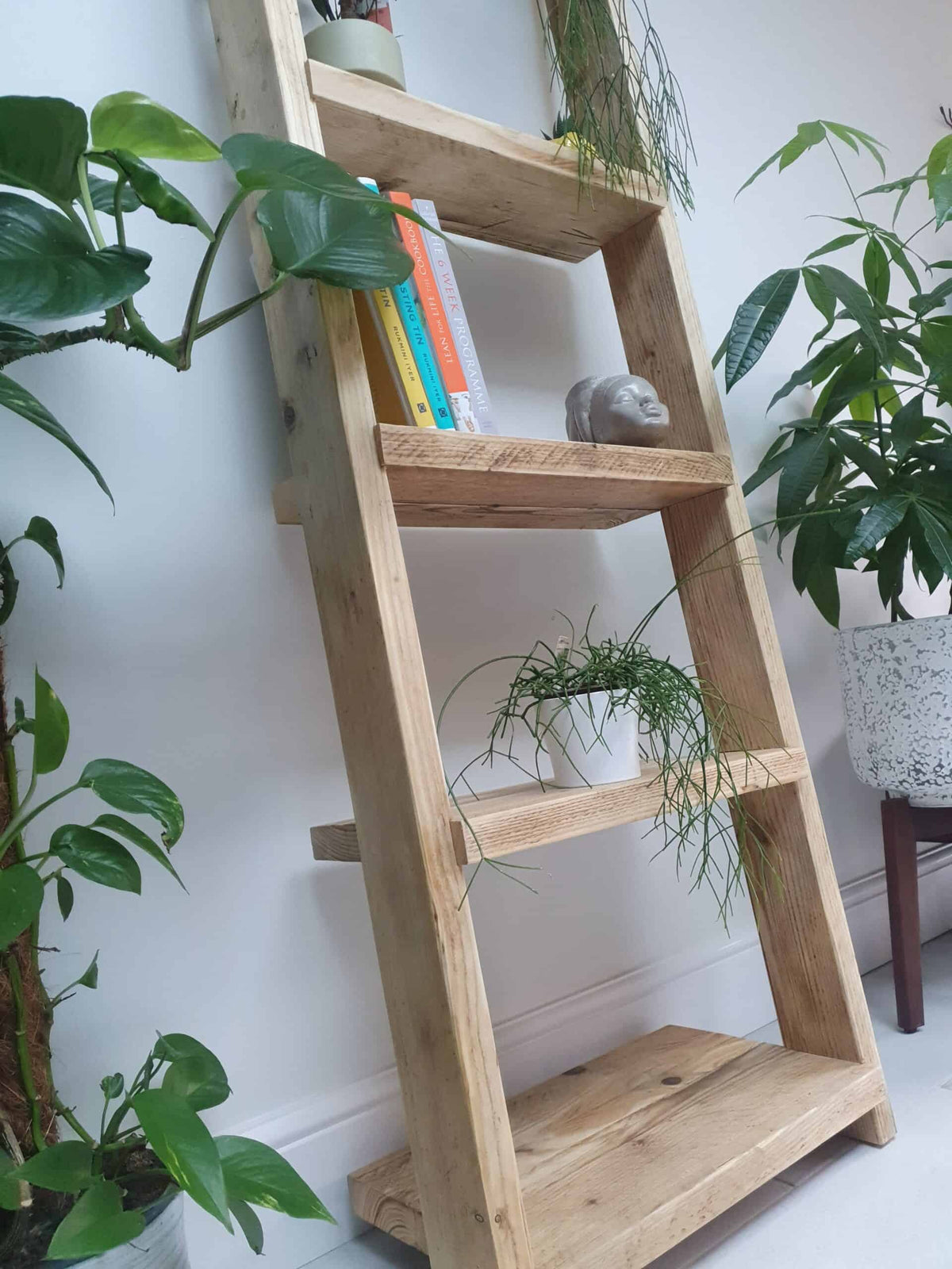 Wooden Ladder Shelves | 5 Tier Ladder Shelf | THE PISA