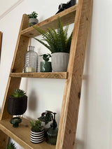 Wooden Ladder Shelves | 5 Tier Ladder Shelf | THE PISA