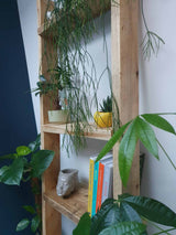 Wooden Ladder Shelves | 5 Tier Ladder Shelf | THE PISA