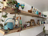 Scaffold Board Shelves | THE PILTON